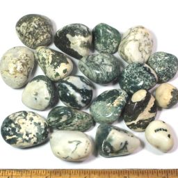 Green Tree Agate Tumbled Stone