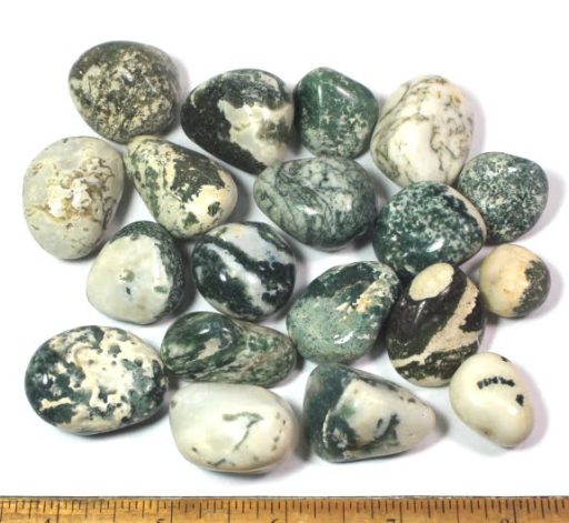 Green Tree Agate Tumbled Stone