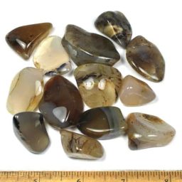 Montana Moss Agate Polished Stones