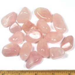 Rose Quartz Tumbled Stones