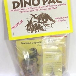 Dinosaur Kit