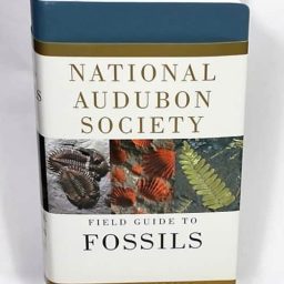 National Audubon Society - Field Guide to Fossils