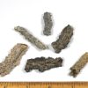 K326 Fulgurite - Petrified Lightning Strikes - Image 2