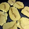 Dawn Redwood Fossil Leaf