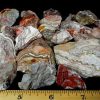 Mexican Lace Agate