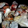 Mexican Lace Agate