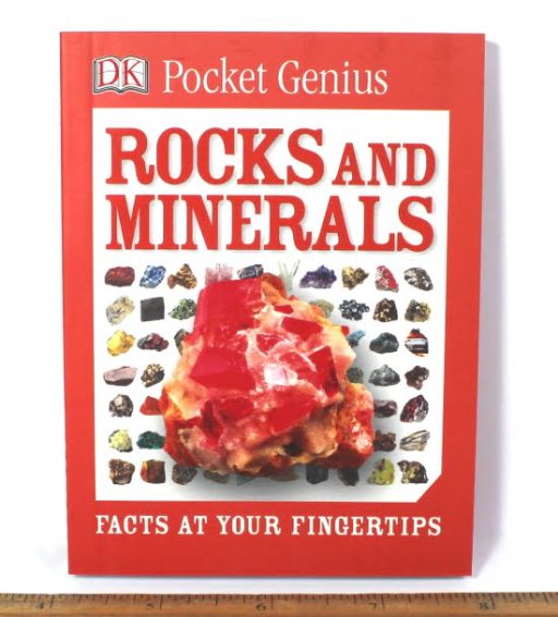 Pocket Genius Rocks and Minerals