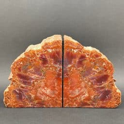 Petrified Wood Bookends