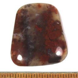 Brecciated Agate Cabochon