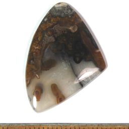 Plume Agate Cabochon