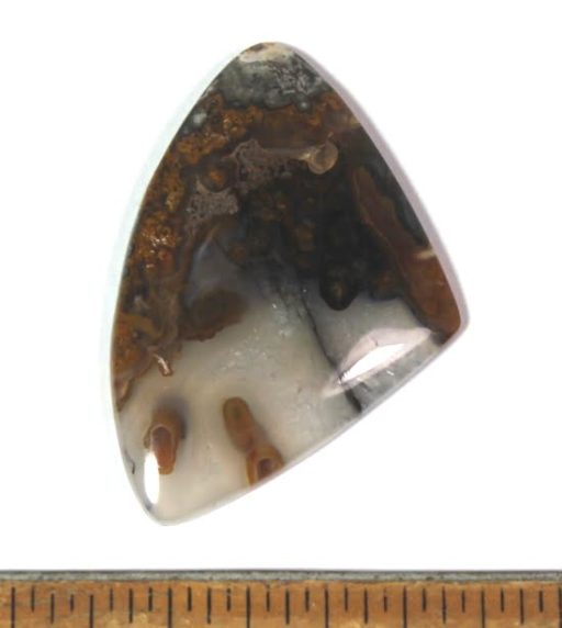 Plume Agate Cabochon