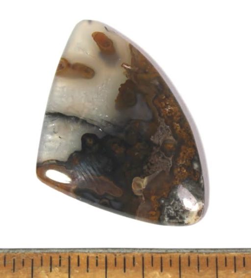 Plume Agate Cabochon