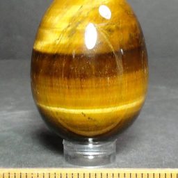 Tiger Eye Egg