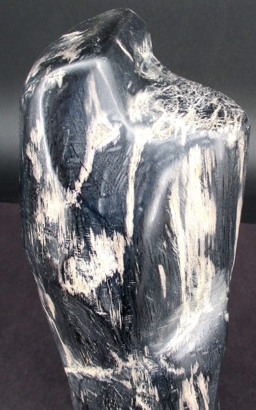 Indonesia Petrified Wood