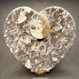 Heart Shaped Fossil Dish