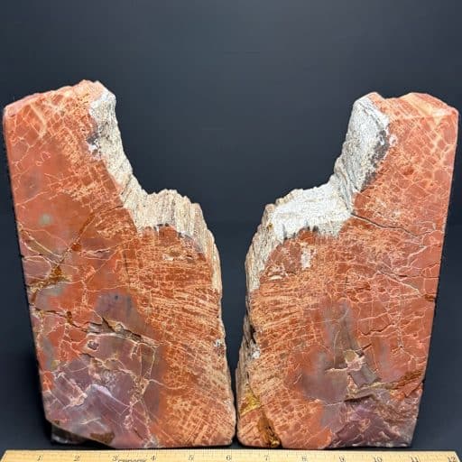 BK302 Petrified Wood Bookends - Image 3