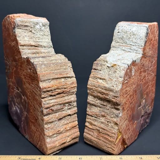 BK302 Petrified Wood Bookends - Image 2