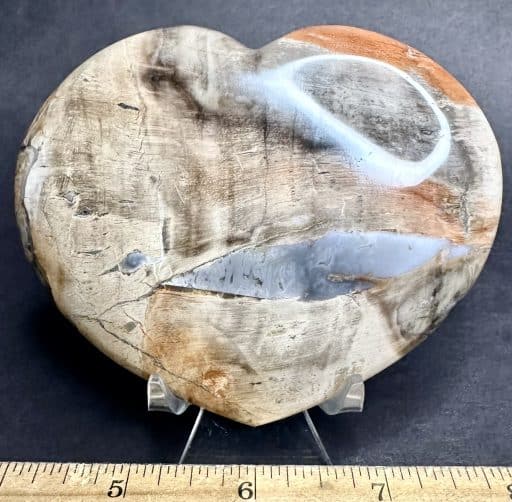 H307 Petrified Wood - Image 2