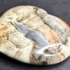 H307 Petrified Wood - Image 4