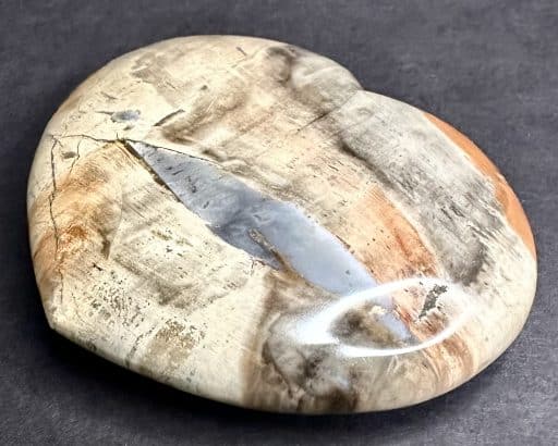 H307 Petrified Wood - Image 4