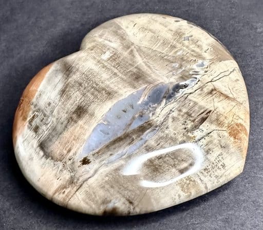 Petrified Wood