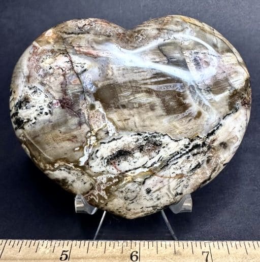 H510 Petrified Wood - Image 2