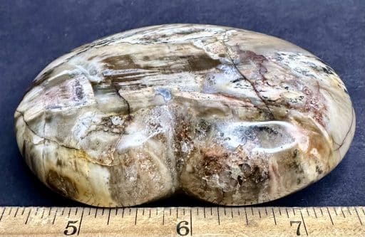 H510 Petrified Wood - Image 3