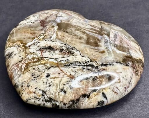 H510 Petrified Wood - Image 4