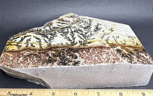 M215 Dendritic Limestone - Image 4