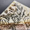 M215 Dendritic Limestone - Image 5