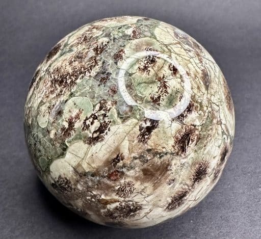 SP1003 Mushroom Rhyolite - Image 6