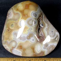 Mexican Lace Agate