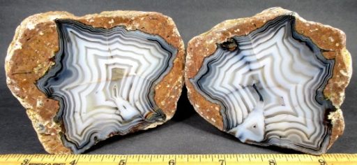 Turkey Agate