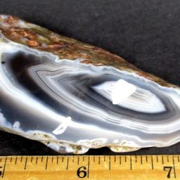 Botswana Agate