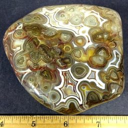 Mexican Lace Agate