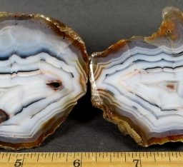 Turkey Agate