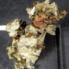 G211 Silver Copper Half Breed - Image 4