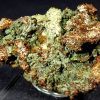 Copper Silver Half-breed