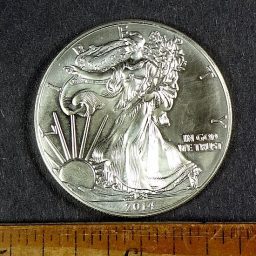 Walking Liberty Silver Coin