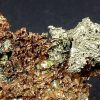 Copper Silver Half Breed