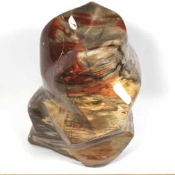 Petrified Wood Free Form from Madagascar