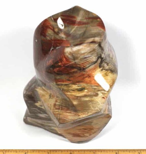 Petrified Wood Free Form from Madagascar