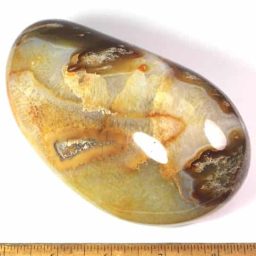 Carnelian Free Form from Madagascar