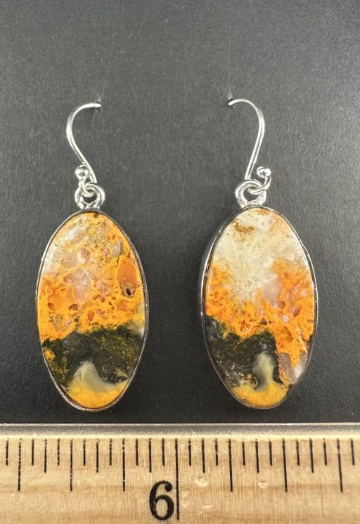 Bumble Bee Jasper