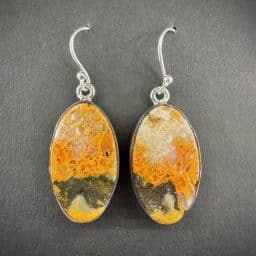 Bumble Bee Jasper