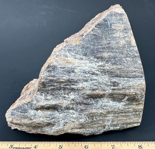 PW101 South Dakota Petrified Wood - Image 2