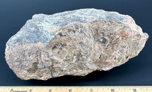 PW101 South Dakota Petrified Wood - Image 3