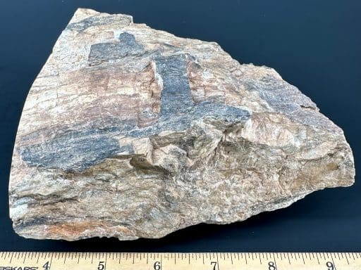 PW101 South Dakota Petrified Wood - Image 4