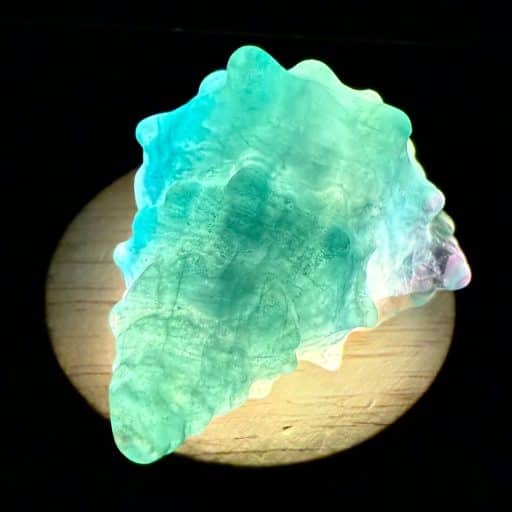 CV110 Fluorite Shell - Image 5