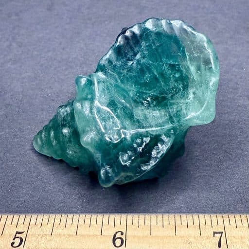 CV110 Fluorite Shell - Image 4